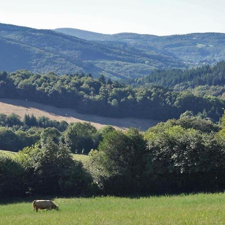 Ahoma, Sejour Bien-Etre, Calme Et Serenite. Labruguière Exteriör bild