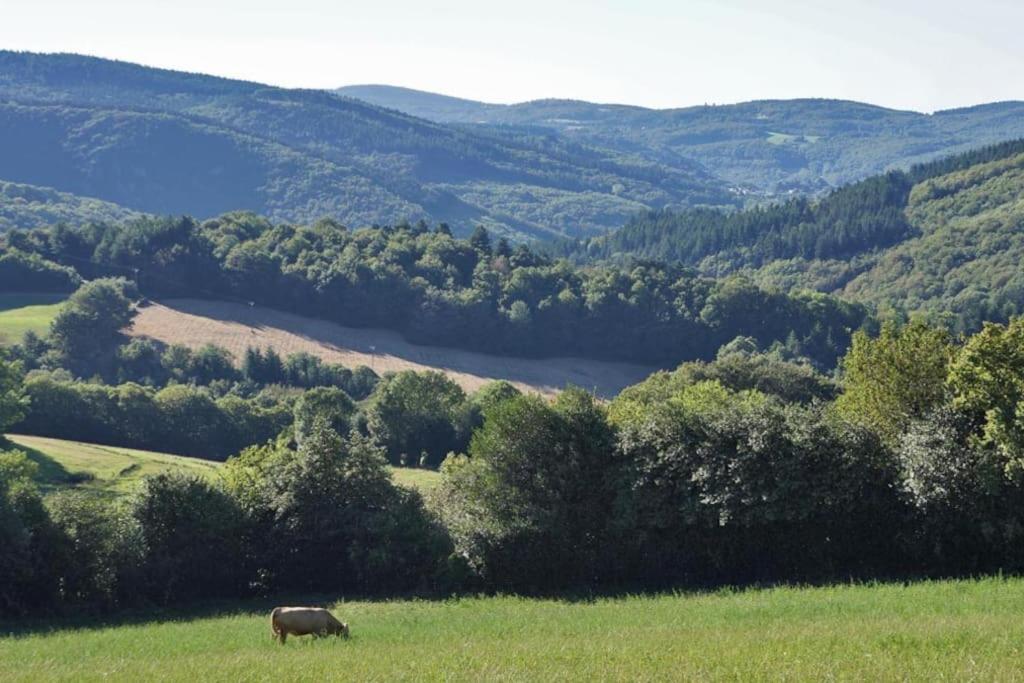 Ahoma, Sejour Bien-Etre, Calme Et Serenite. Labruguière Exteriör bild